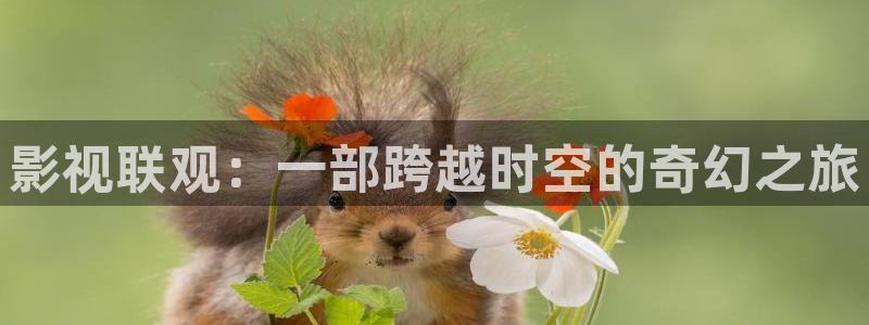 秋霞影院2020新接口