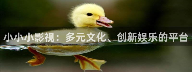 秋霞在线观看电影